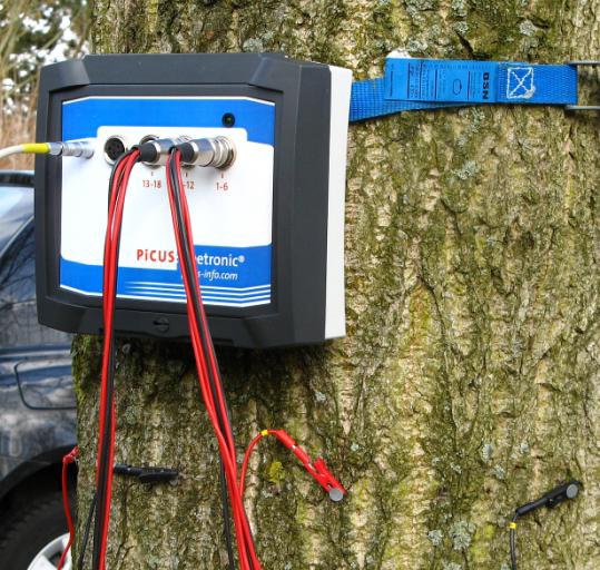 Argus PiCUS TreeTronic树木电阻抗断层成像仪